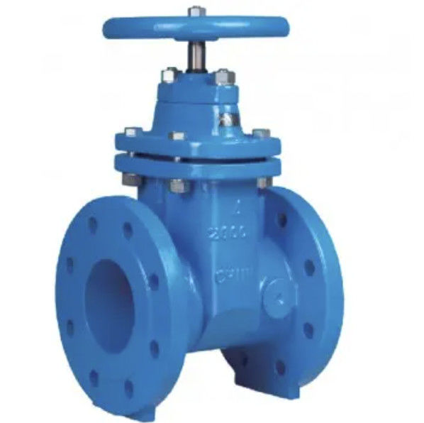 DN40-DN600 Resilient Seated Gate Valve RSGV Valve For Water Treatment
